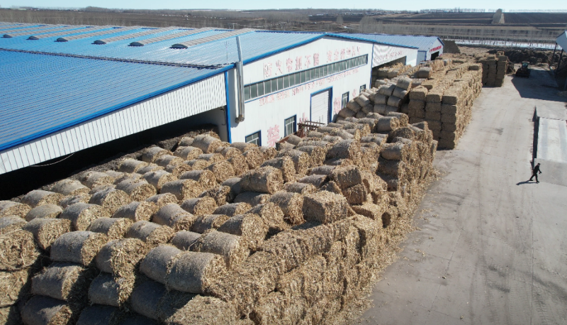 秸稈捆包燃料倉儲 秸稈捆包燃料倉儲